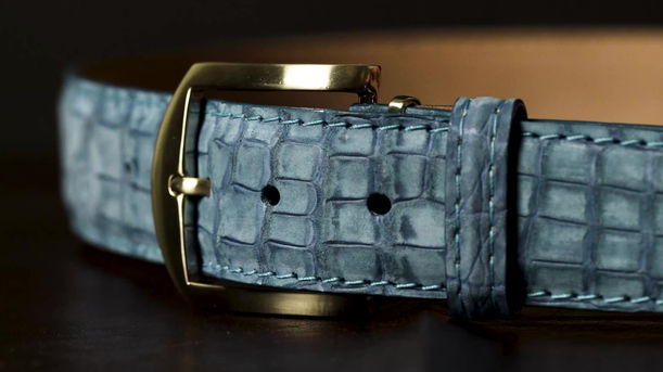 Blue Gator